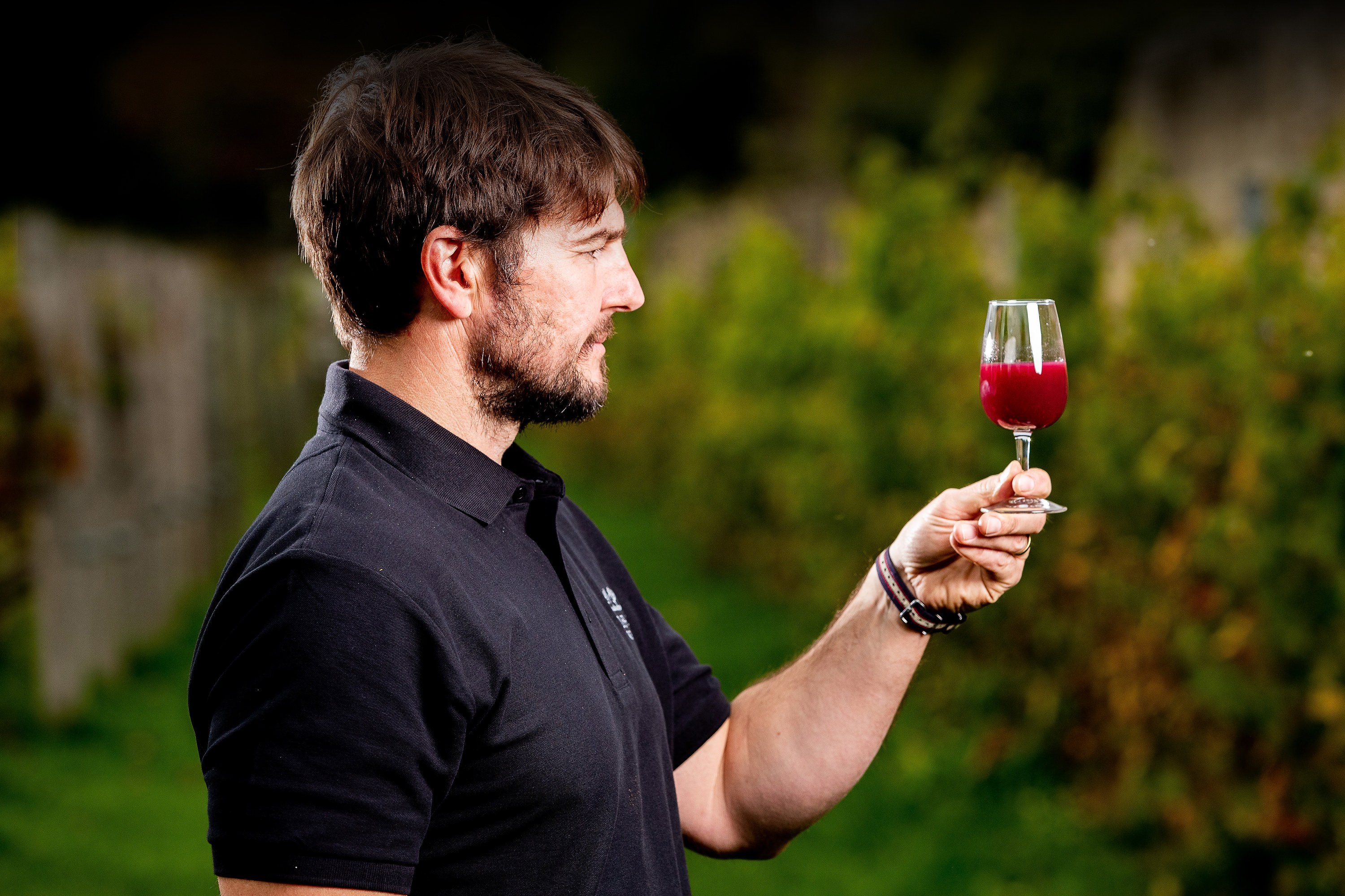 RENISHAW HALL WINES